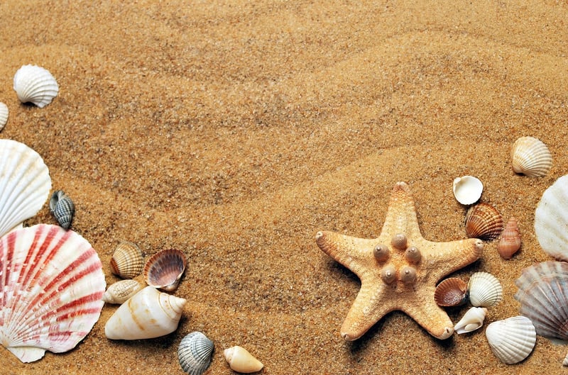 Beach Paradise